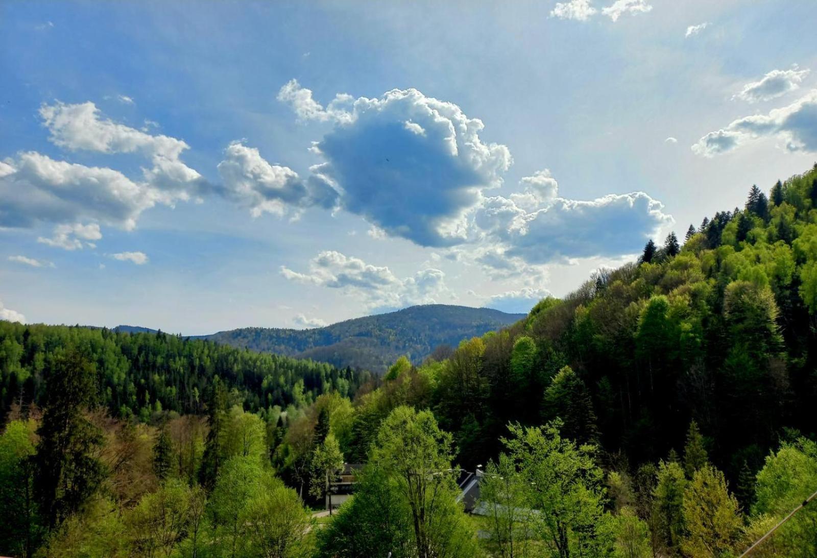 близнята * Yaremche