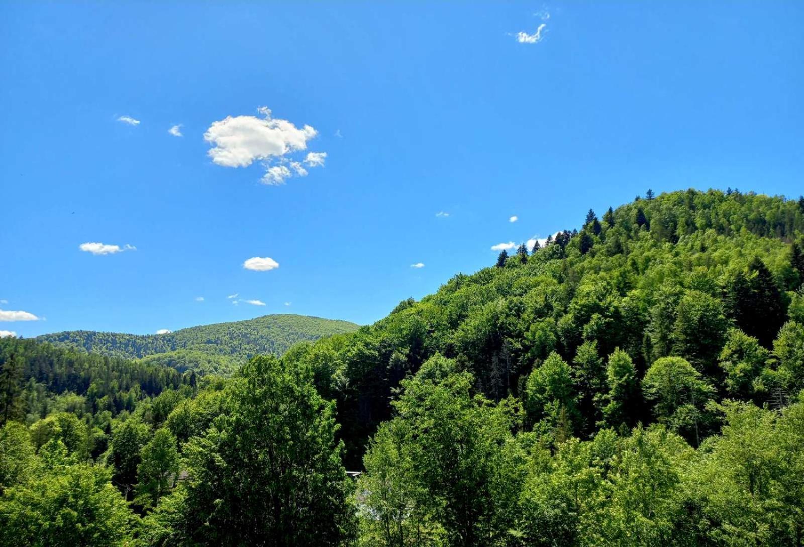 близнята Holiday home Yaremche